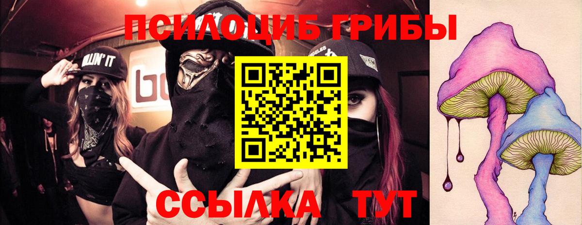 Галлюциногенные грибы ЛСД  Вход с VPN  Галлюциногенные грибы Magic Shrooms  Каменск-Шахтинский 